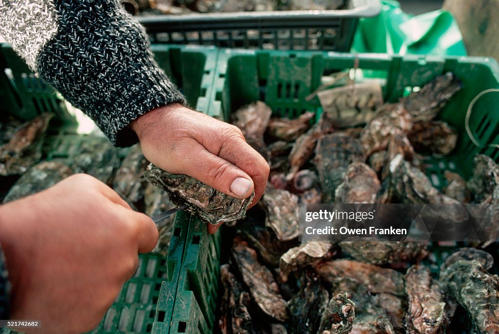 Shucking Oysters in France