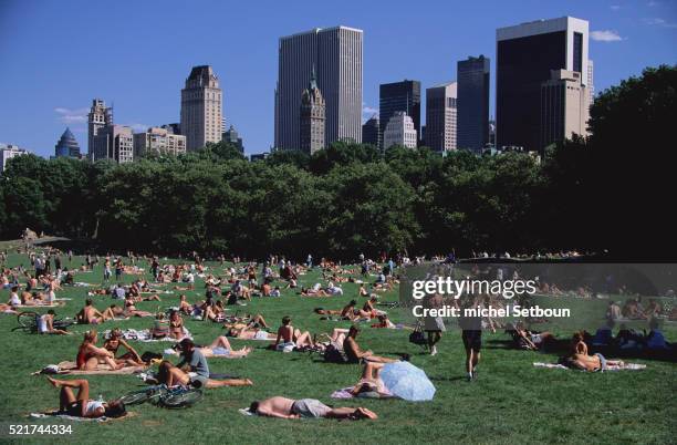 sheep meadow in central park - sheep meadow central park stock pictures, royalty-free photos & images