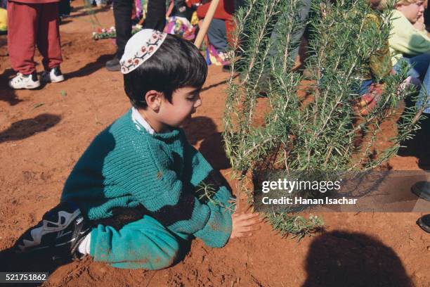 boy planting tree for tu b'shevat - yarmulke stock pictures, royalty-free photos & images