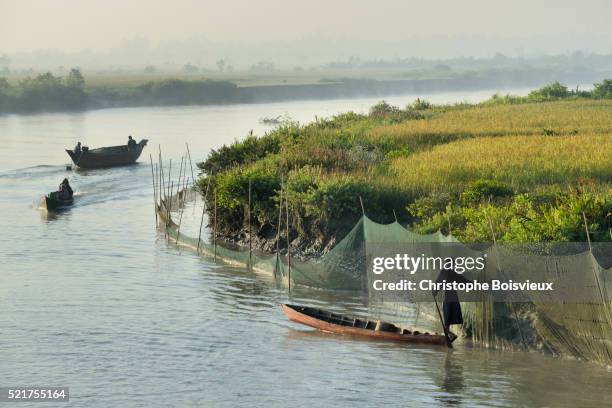 myanmar, rakhine state, mrauk u region, early morning on kaladan river - arakhan stock pictures, royalty-free photos & images