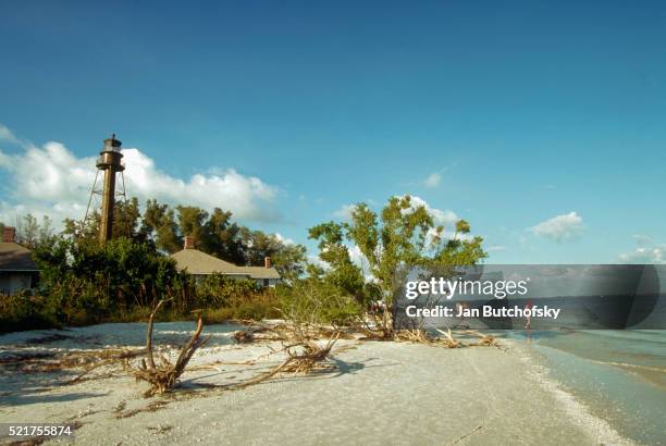 beach at sanibel lighthouse - sanibel island stock pictures, royalty-free photos & images