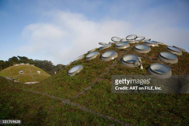 green roof of new california academy of sciences building - california academy of sciences stock pictures, royalty-free photos & images