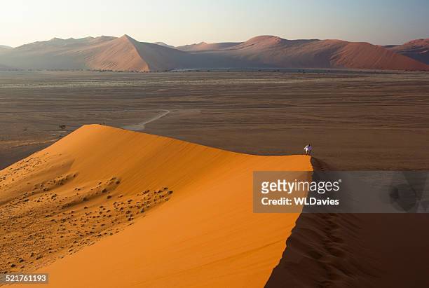 hiking in the namib desert - sossusvlei 個照片及圖片檔