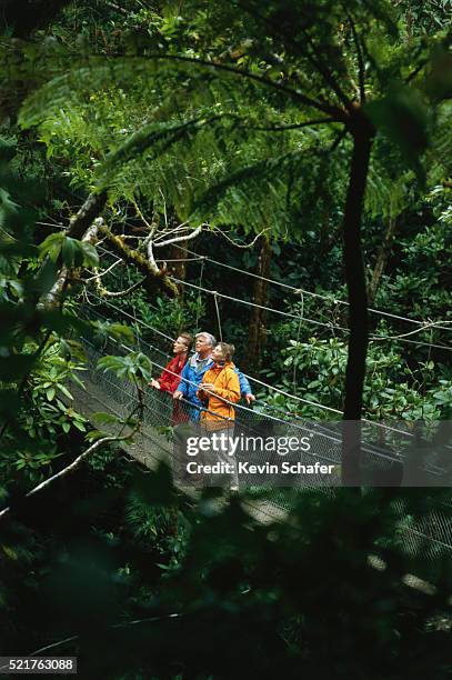 hikers on monteverde cloud forest canopy walkway - monteverde bildbanksfoton och bilder