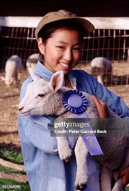 teenage girl holding prize-winning lamb - livestock show fotografías e imágenes de stock