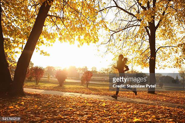 young woman running in park, autumn - 女性ランナー ストックフォトと画像