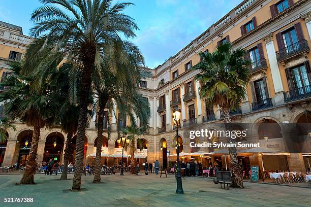 placa reial at twilight, barcelona, spain - café esplanada imagens e fotografias de stock