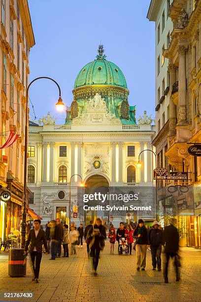 austria, wien state, vienna, kohlmarkt and hofburg dome, night - kohlmarkt street fotografías e imágenes de stock