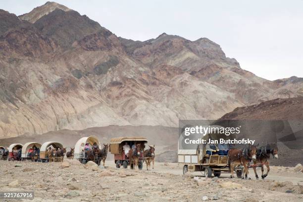 death valley 49ers wagon train - planwagen stock-fotos und bilder