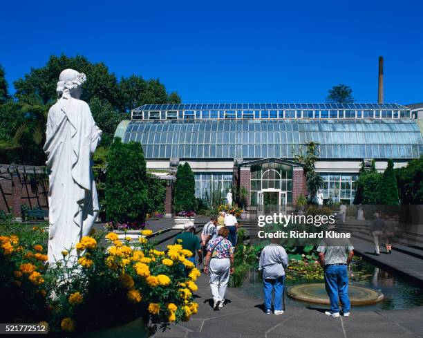 tourists in the winter garden in auckland domain - public domain stockfoto's en -beelden