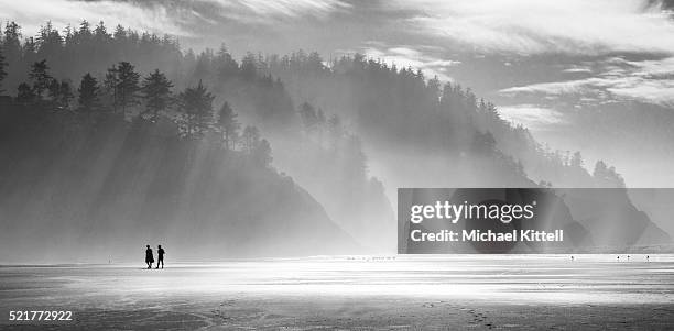 neskowin pano - oregon coast stock pictures, royalty-free photos & images