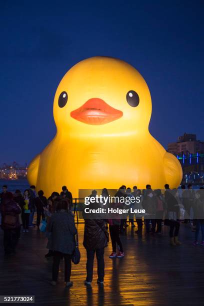 people admire rubber duck giant floating sculpture (designed by dutch artist florentijn hofman) - rubber duck sculpture photos et images de collection