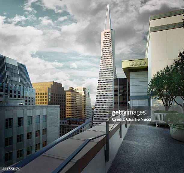 view of transamerica pyramid from rooftop, san francisco - transamerica pyramid san francisco stock-fotos und bilder