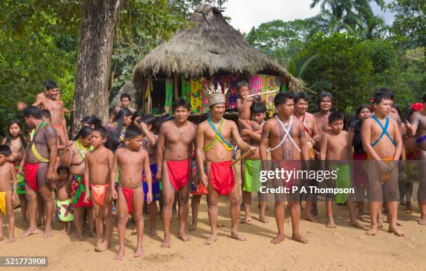 Embera Instruments 1,828 Embera Stock Photos, High-Res Pictures, and Images - Getty Images