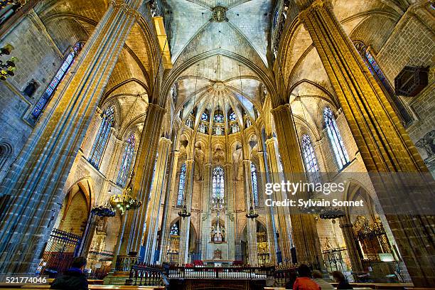 cathedral of the holy cross and saint eulalia, barcelona, spain - barcelona cathedral stock pictures, royalty-free photos & images