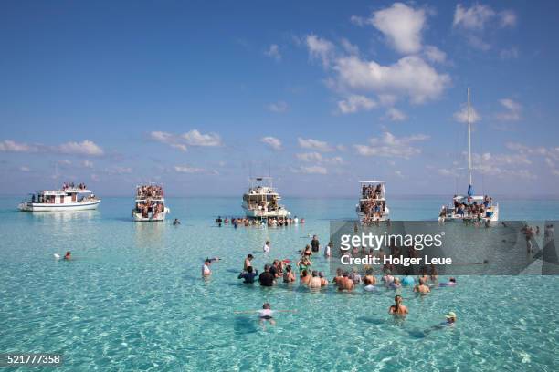 people in shallow water and excursion boats at stingray city sand bank - grand cayman islands foto e immagini stock