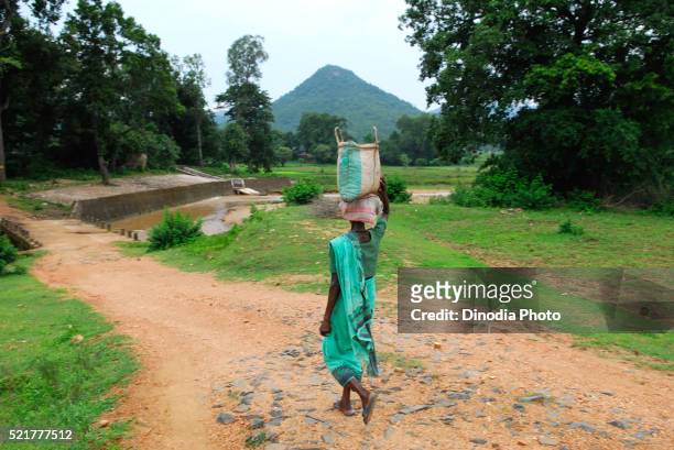 ho tribes woman with luggage, chakradharpur, jharkhand, india - chakradharpur stock pictures, royalty-free photos & images