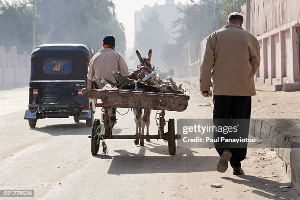 118 Black Donkey Cart Stock Photos, High-Res Pictures, and Images ...