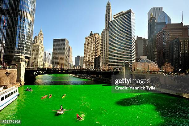 dyeing the chicago river green on st. patrick's day - día de san patricio fotografías e imágenes de stock