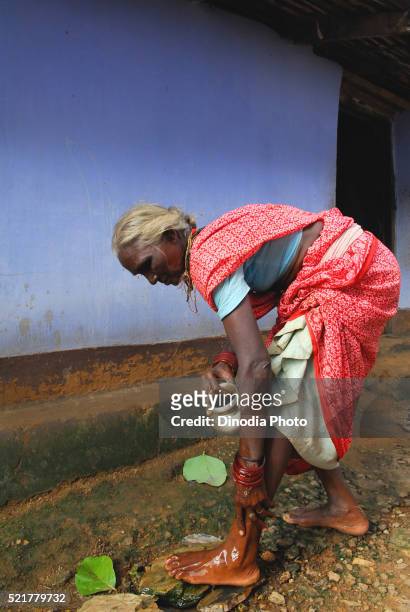 old ho-tribe midwife washing feet, chakradharpur, jharkhand, india - chakradharpur stock pictures, royalty-free photos & images