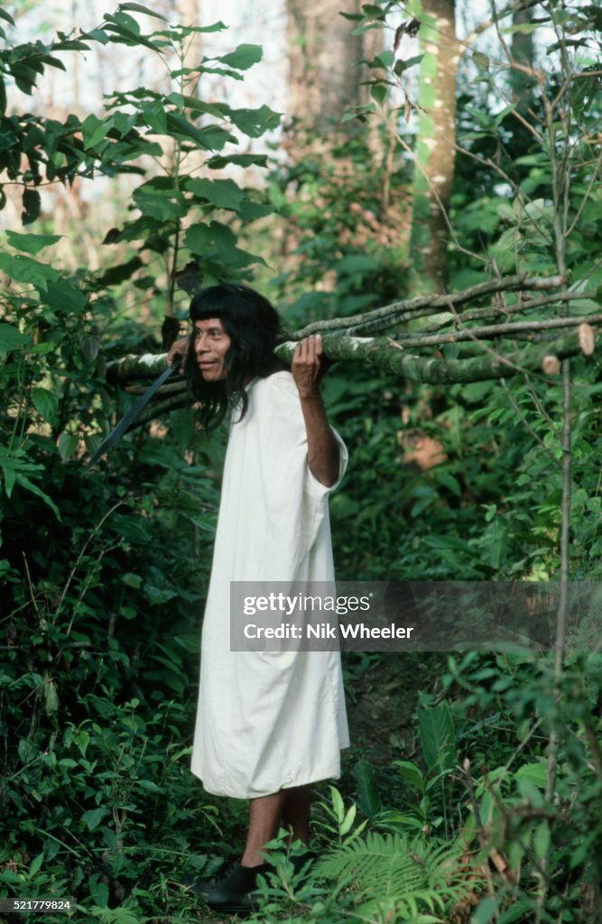 Lacondon Man Collecting Wood