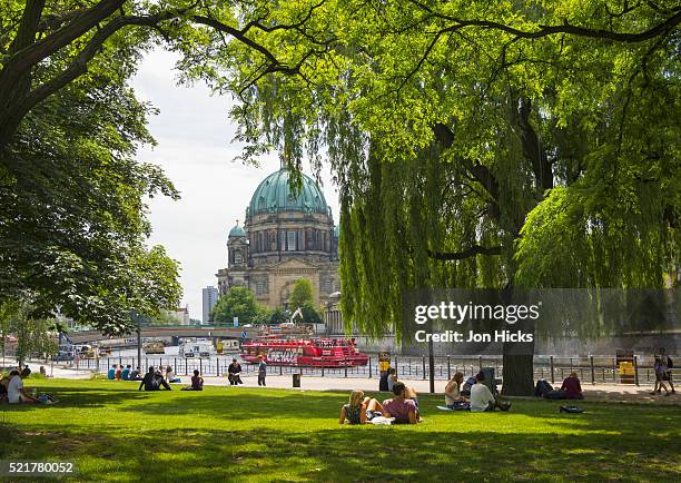 monbijou park. - berlin cathedral stock pictures, royalty-free photos & images
