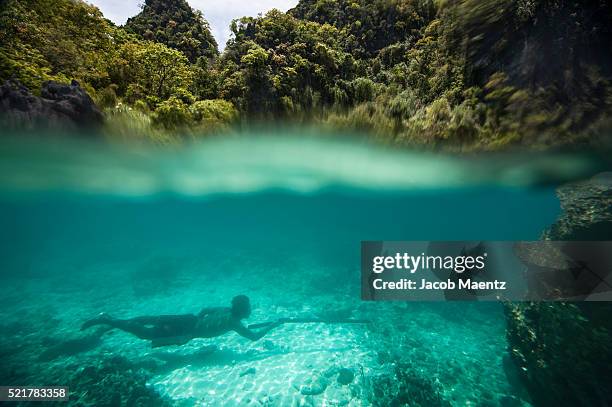 a native tagbanua spearfishing on coron island - spear stock pictures, royalty-free photos & images