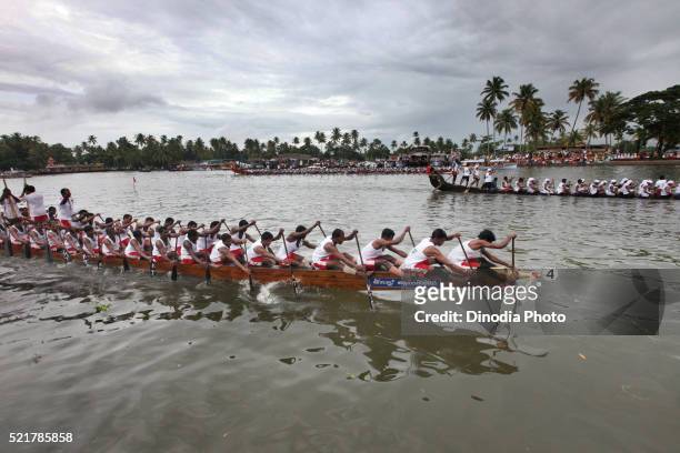 snake boats racing in punnamada lake at alleppey, kerala, india - kerala snake boat fotografías e imágenes de stock