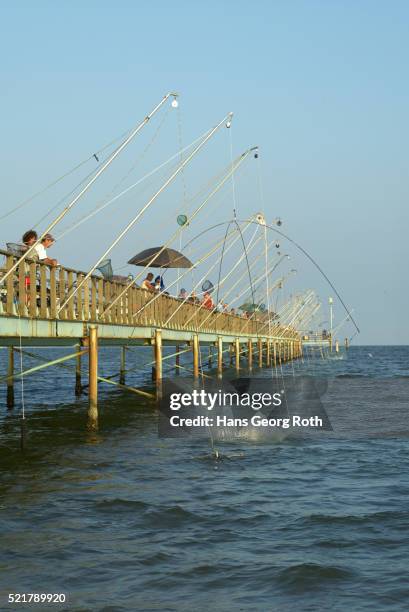 fishing with nets in the "lido di volano", beach of volano - volano stock pictures, royalty-free photos & images