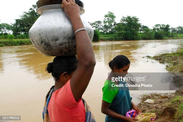 ho tribes women carrying pots, chakradharpur, jharkhand, india - chakradharpur stock pictures, royalty-free photos & images