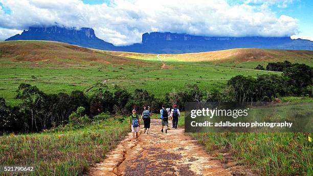 in the road to mount roraima - adalbertop ストックフォトと画像