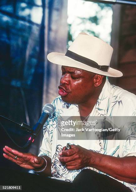 American Blues musicians Phil Wiggins and John Cephas , who perform as Cephas & Wiggins, play on the Juke Joint Stage at the 16th Annual Chicago...