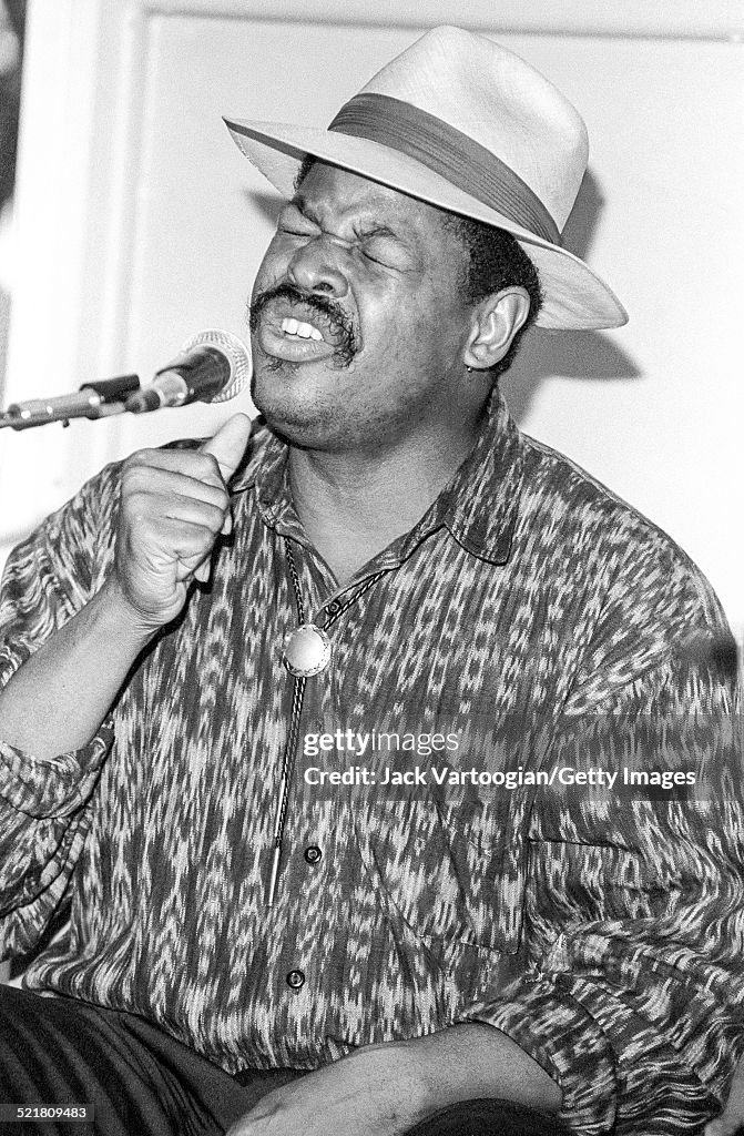 Phil Wiggins At The Benson & Hedges Blues Festival