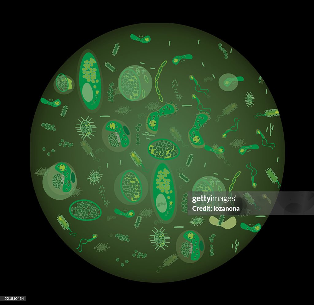 Bacteria and virus seamless pattern inversion