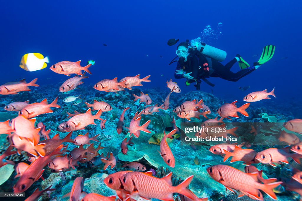 Soldierfish and diver - Palau