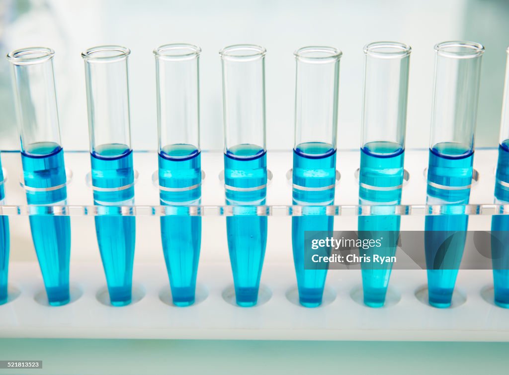 Rack of test tubes with solution on counter in lab