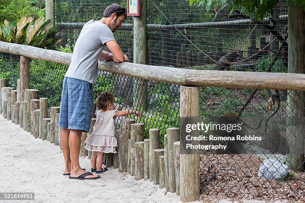 father and baby daughter watching monkeys at zoo - zoo cage stock pictures, royalty-free photos & images