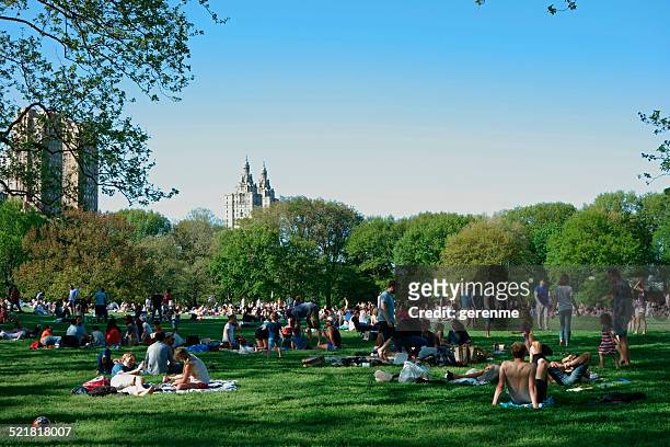 new yorkers in central park - sheep meadow central park stock pictures, royalty-free photos & images
