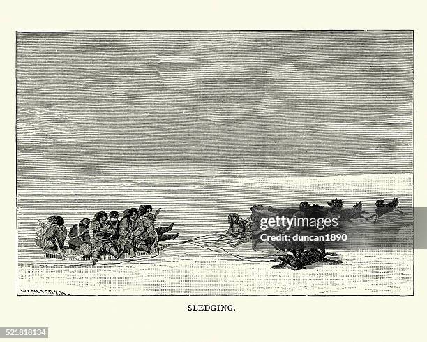 inuit sledging, 19th century - dog sledding stock illustrations
