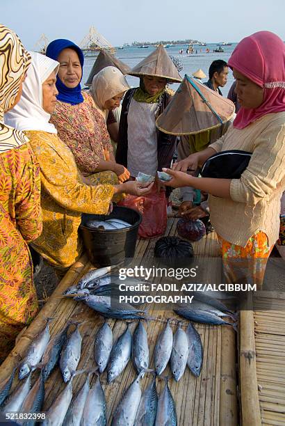 Aziz Fish 482 Aziz Market Stock Photos, High-Res Pictures, and Images - Getty Images
