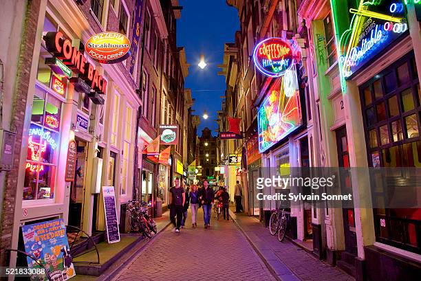 amsterdam, the red light district - red light district 個照片及圖片檔