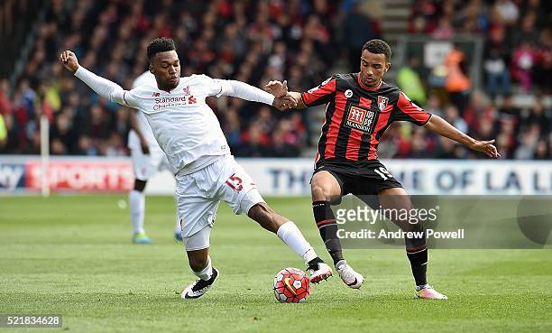 Daniel Sturridge of Liverpool competes with Junior Stanislas of AFC Bournemouth during the Barclays Premier League match between A.F.C. Bournemouth...