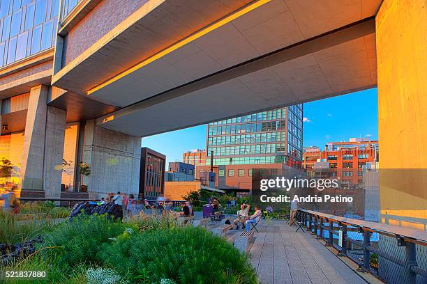 the high line elevated park - urban renewal stock pictures, royalty-free photos & images