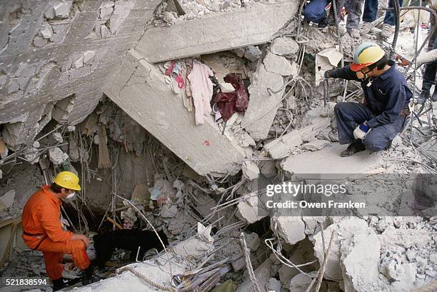 rescue workers in earthquake rubble - terremoto fotografías e imágenes de stock