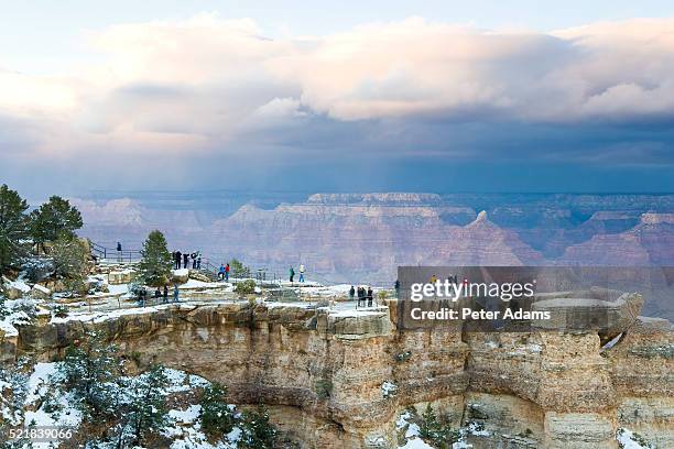 snow on south rim of grand canyon - grand canyon photos et images de collection