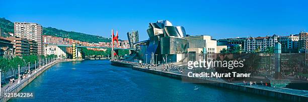 cityscape of a city - bilbao stock pictures, royalty-free photos & images