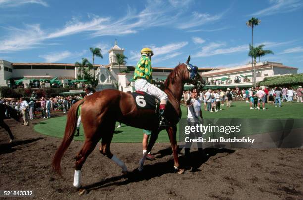 horse preparing to race at del mar - del mar california stock pictures, royalty-free photos & images
