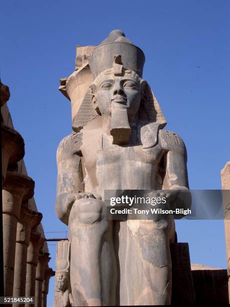 colossus of ramesses ii at temple of luxor in thebes - statue von pharao ramses ii stock-fotos und bilder