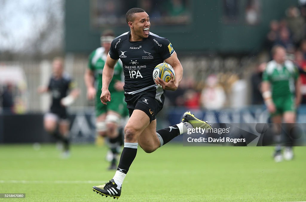 Newcastle Falcons v London Irish - Aviva Premiership