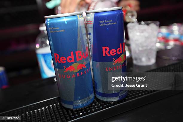 General view of the atmosphere at the Levi's Brand and RE/DONE Levi's presents NEON CARNIVAL with Tequila Don Julio on April 16, 2016 in Thermal,...